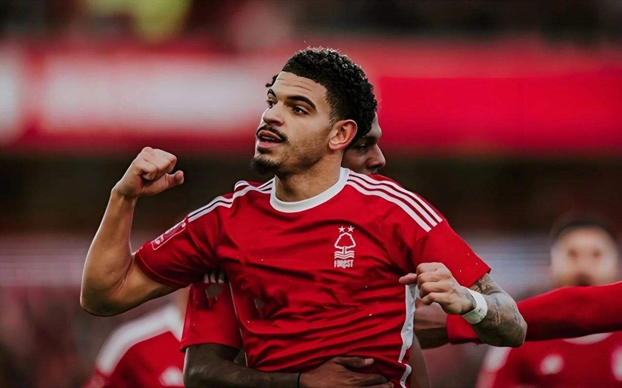 南安普顿告捷重返英超中游，欧冠希望渐行渐远的简单介绍